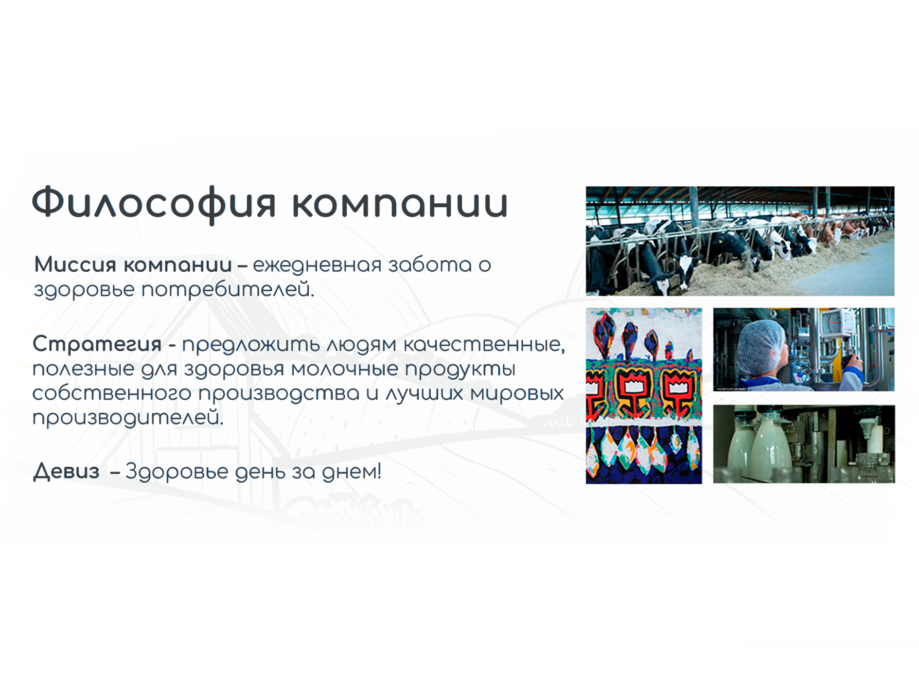 Философия компании Lapmol